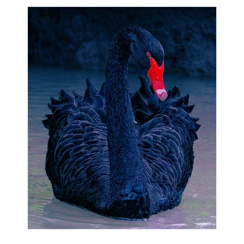 tht