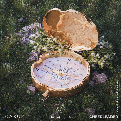 Porter Robinson - Cheerleader (OAKUM FLIP)