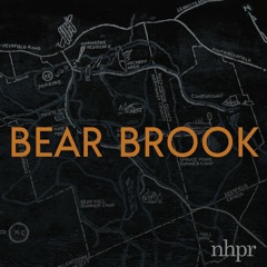 MetaPod Episode 9. Jason Moon of Bear Brook