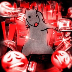 A TOMA VEI VEI - SLOWED - TOKYOPHILE