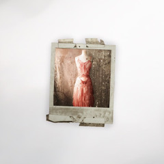 Red Dress (feat. Bozuku) prod. paryo