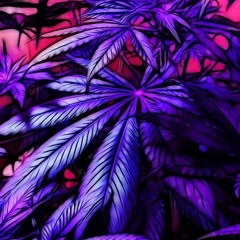 𝔇𝔞𝔳𝔦𝔰 -Not Accidental (prod. elzio)