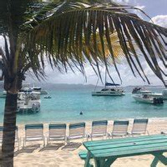Review Special Price Jost Van Dyke Funday Willy T Foxys Soggy Dollar Willyt