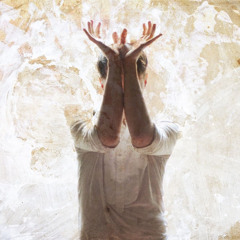 Like Bird and Beast (feat. Cathy Davey)