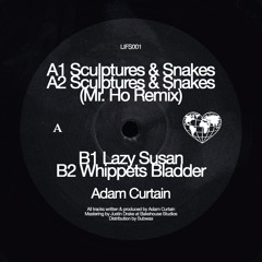 Adam Curtain  - Sculptures & Snakes EP (Incl. Mr. Ho Remix) (LIFS001)