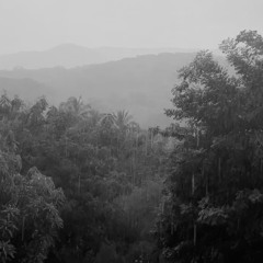 Like Rain | prod. ntverme