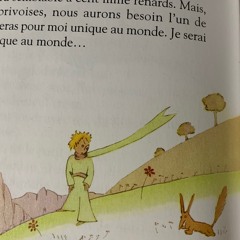 The Little Prince chapter21 sound narrative