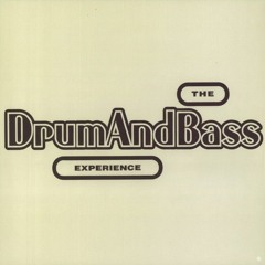 the drum and bass experience  (part one)