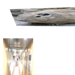 life enjoyer's forgotten files #1