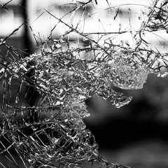 Fragile Goods