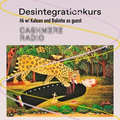 Desintegrationkurs #6 w/ Kaloan And Bolinho As Guest [Cashmere Radio]