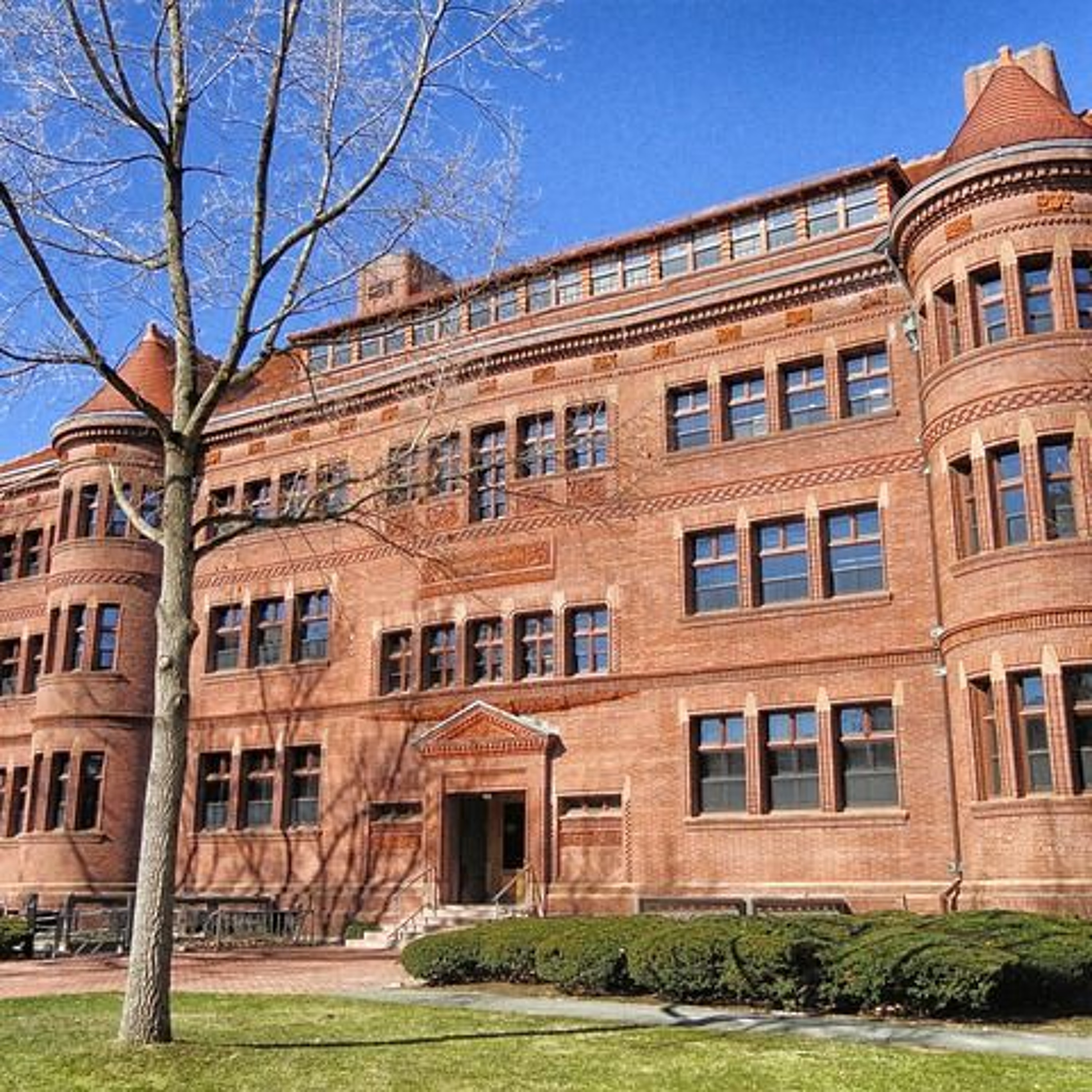 American Academia - The Jay Shapiro Show