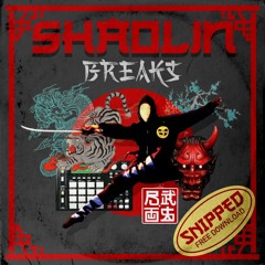 SHAOLIN BREAKS (Prod.B.Ros)[SNIPPED]