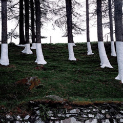 In The Gaia w/ Qhyit (Prod. 10kreditkarten)