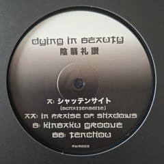 RWR003 - Dying In Beauty - Kinbaku Groove
