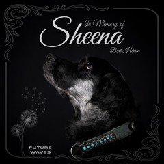 Beat Herren - In Memory Of Sheena - Original Mix