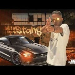 Mustang MC Menor ZL