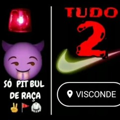 VERMELHOU NO VISCONDE - TROPA DO PAIZÃO