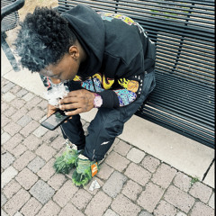 ECLAIRE - VIBE  ( Paymel )