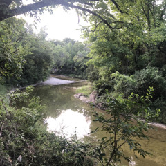 Yaqoot Zazai sen wialy wialy