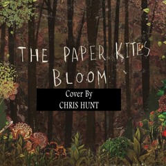 The Paper Kites- 'Bloom' Cover by Chris Hunt