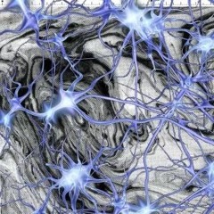 Nezzus- Noise (painised)