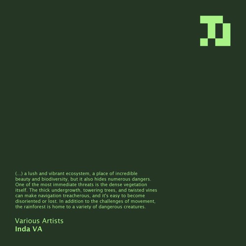 Varázsló - Humo De La Selva 205 bpm