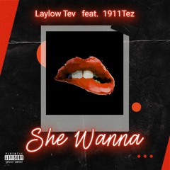 LayLow Tev Feat. 1911Tez - She Wanna (Prod By Murdsdrum Alternatives)