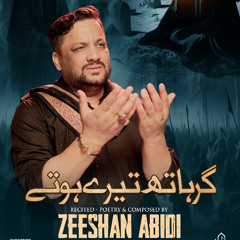Gar Hath Tere Hote  --  Zeeshan Abidi  --  2025