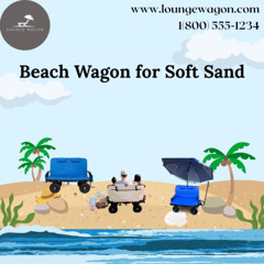 The Ultimate Guide to Choosing a Beach Wagon for Soft Sand