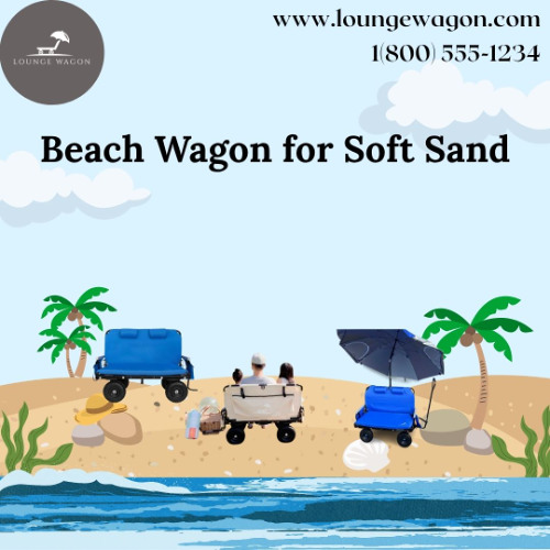 The Ultimate Guide to Choosing a Beach Wagon for Soft Sand