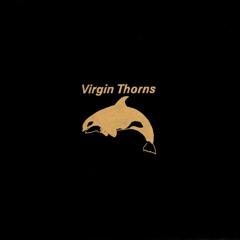 Virgin Thorns "Song 4 (wth Vox)" (DESECHABLE 004)