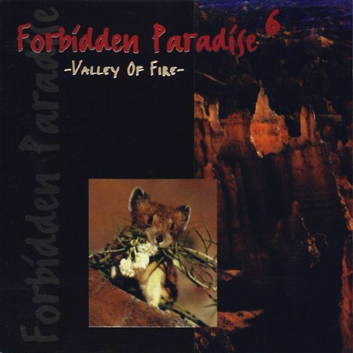 Stream Forbidden Paradise 6 - Valley Of Fire - Mixed by Tiësto