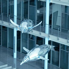 Air Penguins