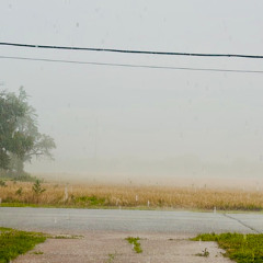 Fall like Rain