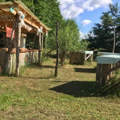SSS Outdoor Stream // 05.06.2021