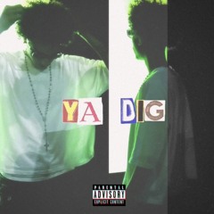 ya dig (1ntcart)