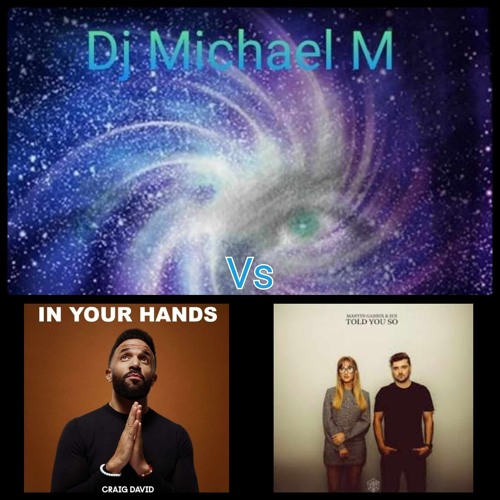 In Your Hands Told You So (CRAIG DAVID Vs MARTIN GARRIX X JEX)