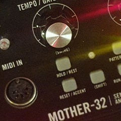 Mothers Organ