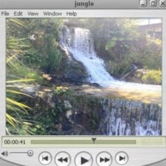 Jungle
