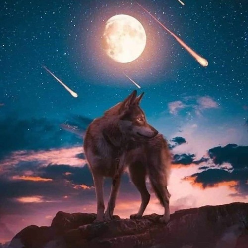 805 STARFACE - By The Pound [GME exsclusive]