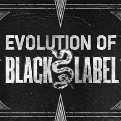 The Evolution of NSD: Black Label  [Tribute Mix]