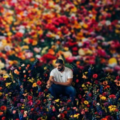 Drake - Like I'm Supposed To (Do Things)