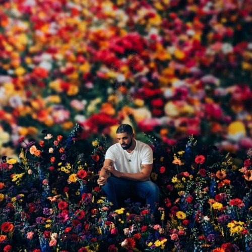 Drake - Like I'm Supposed To (Do Things)