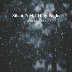 Silent Night Holy Night (고요한 밤 거룩한 밤) Piano Cover