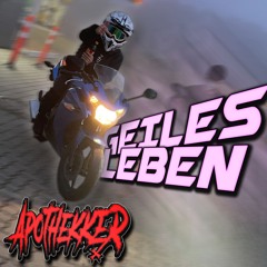 GEILES LEBEN [HARDTEKK]