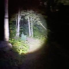 ik the end is near...