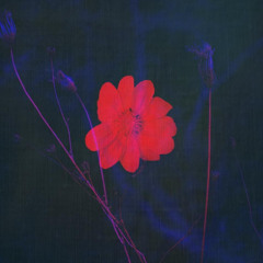 wish there was another way