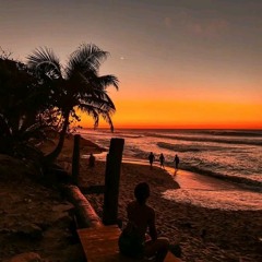 THE  ISLAND 🏖️🌊