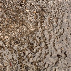 Liquid Concrete